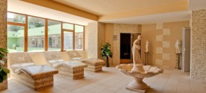 hotel_bran-46-410x311
