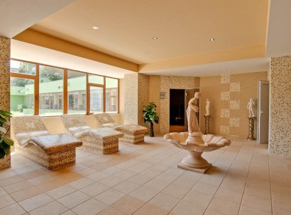hotel_bran-46-410x311