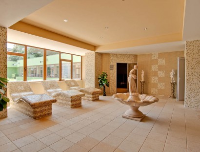 hotel_bran-46-410x311