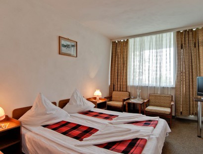 hotel_aida-02-410x311